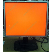 Монитор 19" TFT HP 1955 (DVI в Новокосино, USB-хаб) "квадратный" (Новокосино)