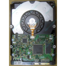 HDD Sun 500G 500Gb в Новокосино, FRU 540-7889-01 в Новокосино, BASE 390-0383-04 в Новокосино, AssyID 0069FMT-1010 в Новокосино, HUA7250SBSUN500G (Новокосино)