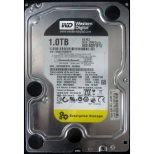 НЕРАБОЧИЙ жесткий диск 1Tb WD RE3 WD1002FBYS (Новокосино)