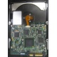Электроника жёсткого диска 146Gb HP 481653-002 DF146BAFDU (Новокосино)