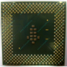 Celeron 1000A в Новокосино, процессор Intel Celeron 1000 A SL5ZF (1GHz /256kb /100MHz /1.475V) s.370 (Новокосино)