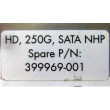 HP 250G 7.2k 432337-001/ 399699-001 / 397377-004 SATA HDD (Новокосино)
