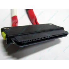 SATA-кабель для корзины HDD HP 451782-001 459190-001 для HP ML310 G5 (Новокосино)