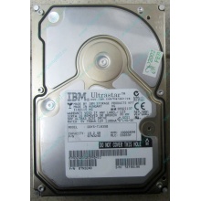 Жесткий диск 18.2Gb IBM Ultrastar DDYS-T18350 Ultra3 SCSI (Новокосино)