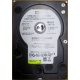 Б/У жёсткий диск 400Gb WD WD4000YR Caviar RE2 7200 rpm SATA  (Новокосино)