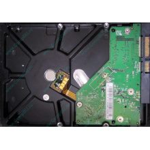 Б/У жёсткий диск 500Gb Western Digital WD5000AVVS (WD AV-GP 500 GB) 5400 rpm SATA (Новокосино)