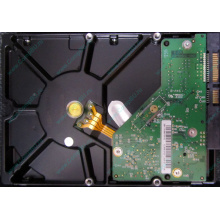 Б/У жёсткий диск 1Tb Western Digital WD10EVVS Green (WD AV-GP 1000 GB) 5400 rpm SATA (Новокосино)