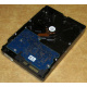 Электроника HDD 500Gb Hitachi HDS721050DLE630 (Новокосино)