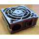 HP 224977 (224978-001) for Proliant ML370 G2/G3/G4 (Новокосино).