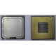 Процессор Intel Celeron D 336 (2.8GHz /256kb /533MHz) SL98W s.775 (Новокосино)