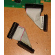 6017B0045701 Шлейф 24pin для Intel C74974-401 T0043401-B01 корпуса SR2400 (Новокосино)
