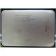 AMD Opteron 6128 OS6128WKT8EGO (Новокосино)