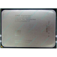AMD Opteron 6128 OS6128WKT8EGO (Новокосино)