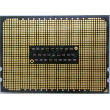 AMD Opteron 6128 OS6128WKT8EGO (Новокосино)